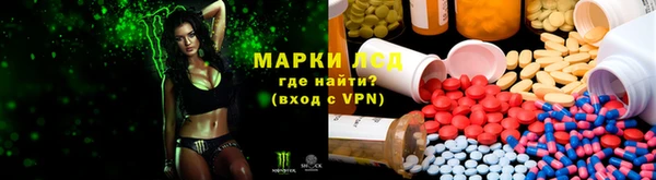 прущие крисы Аркадак