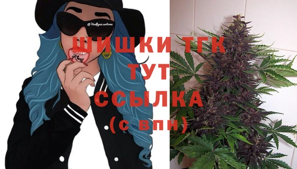 Альфа ПВП Арсеньев