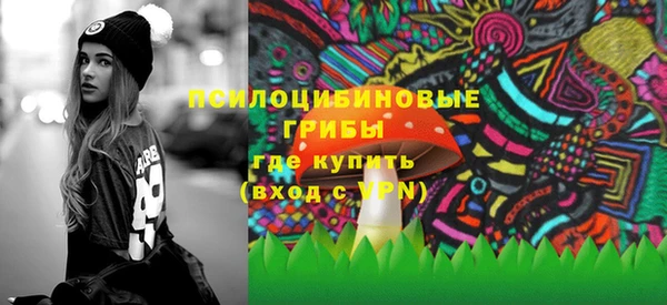 Альфа ПВП Арсеньев